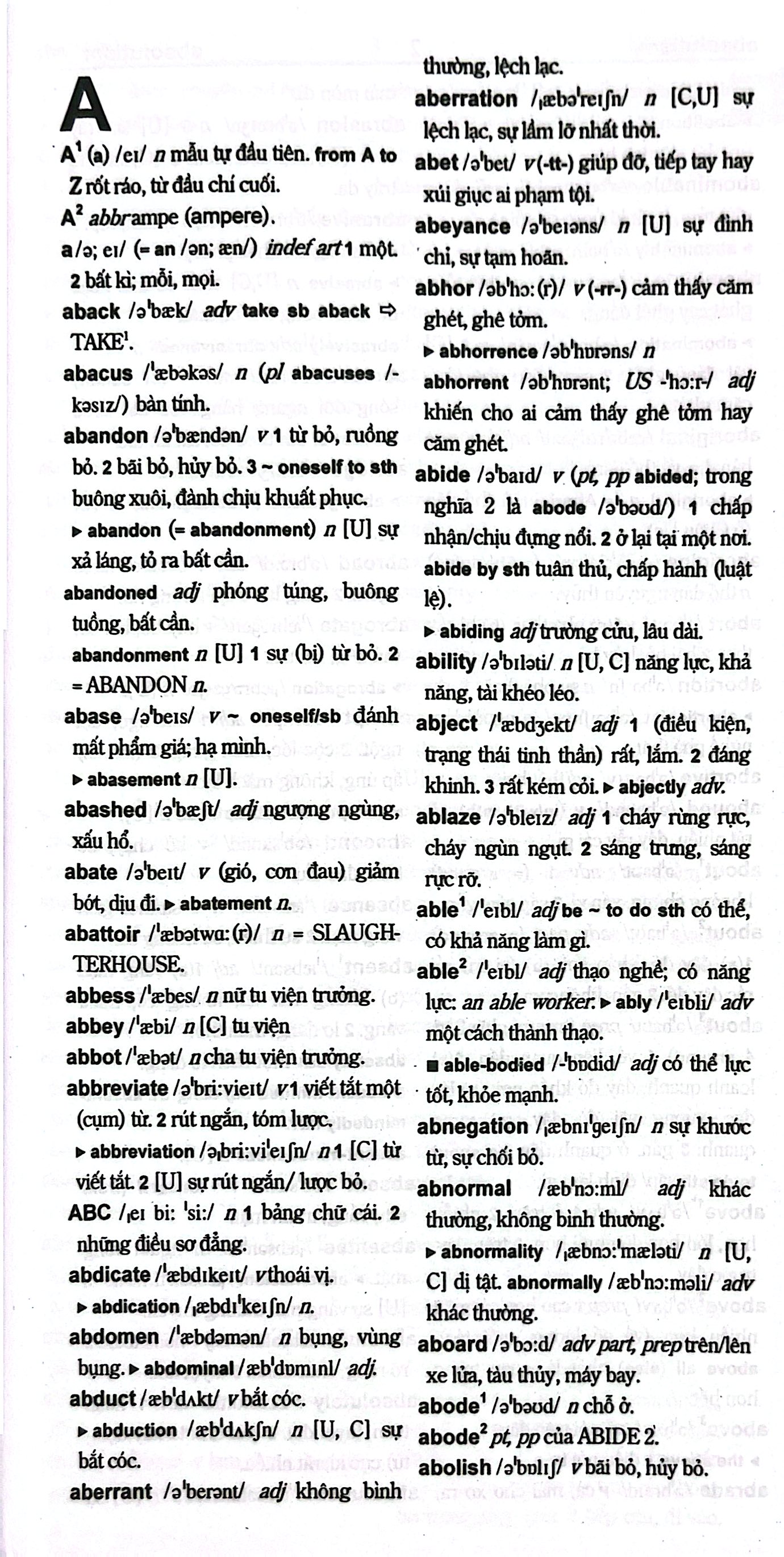 từ điển anh việt 95.000 từ - Ảnh 4