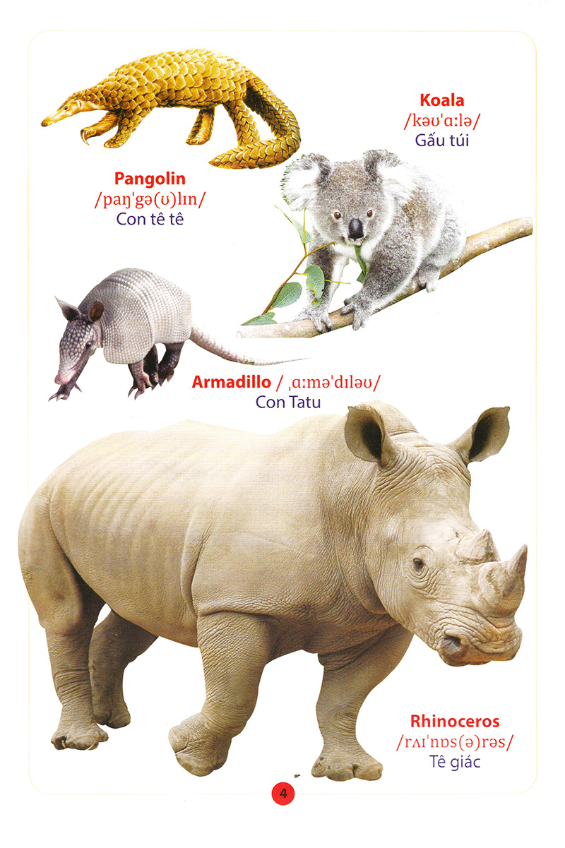 từ điển anh – việt bằng hình động vật - Ảnh 6