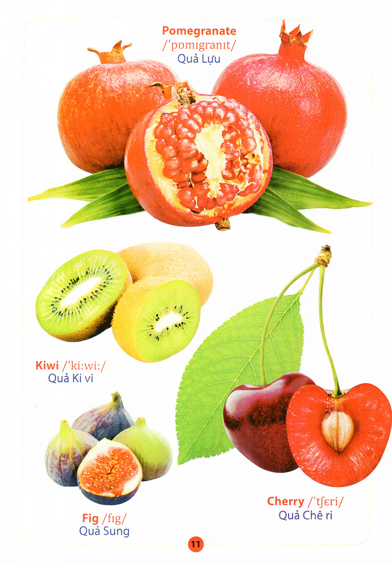 từ điển anh - việt bằng hình - hoa, quả, rau, củ - Ảnh 13