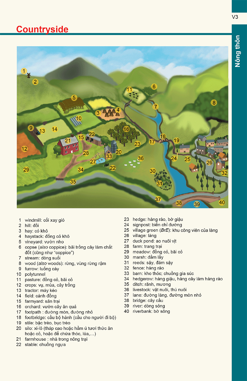 từ điển anh - việt dành cho học sinh (2020) - Ảnh 14