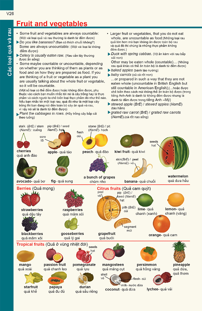 từ điển anh - việt dành cho học sinh (2020) - Ảnh 18