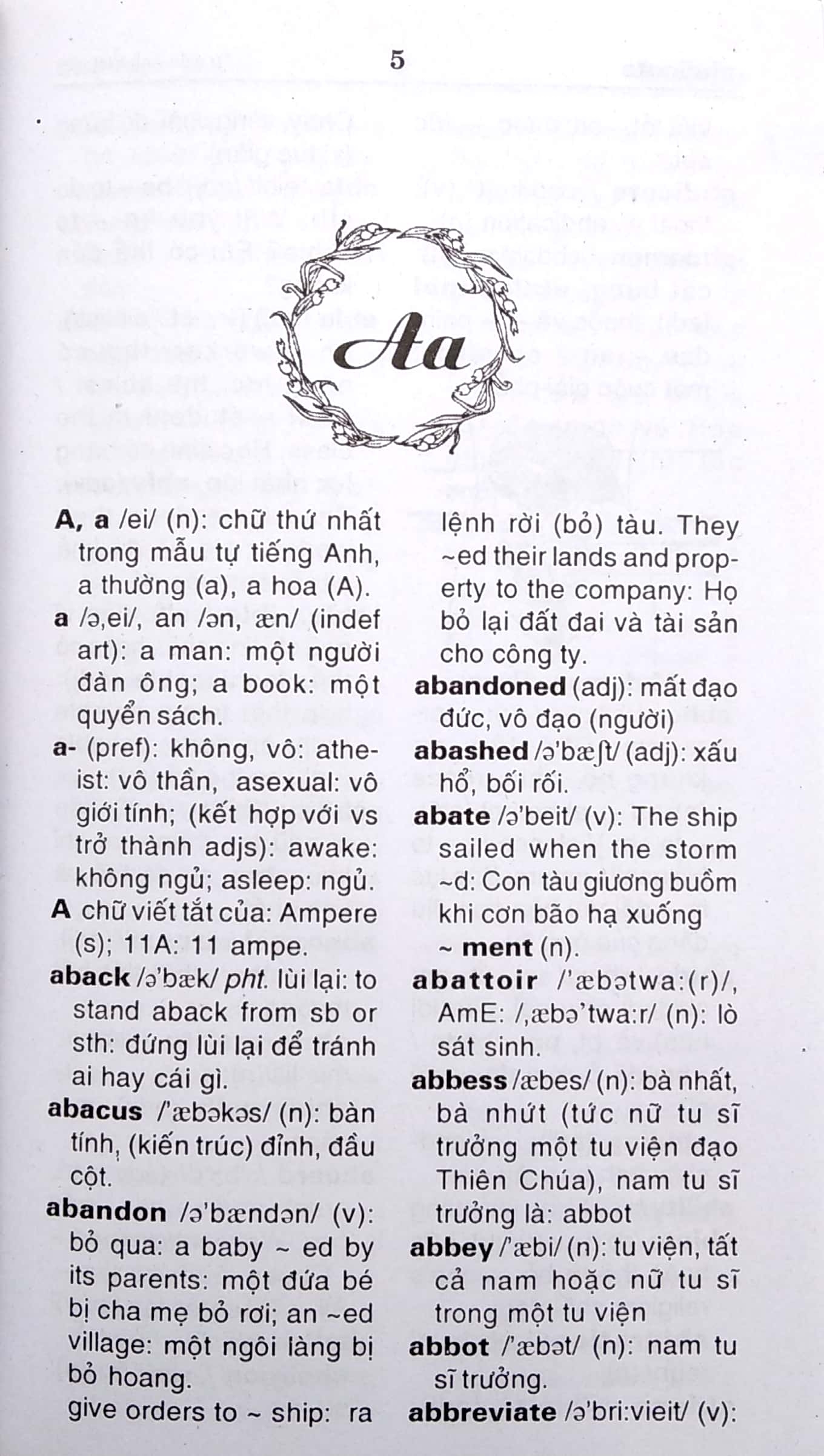 từ điển anh - việt dành cho mọi đối tượng (85.000 từ) - Ảnh 4