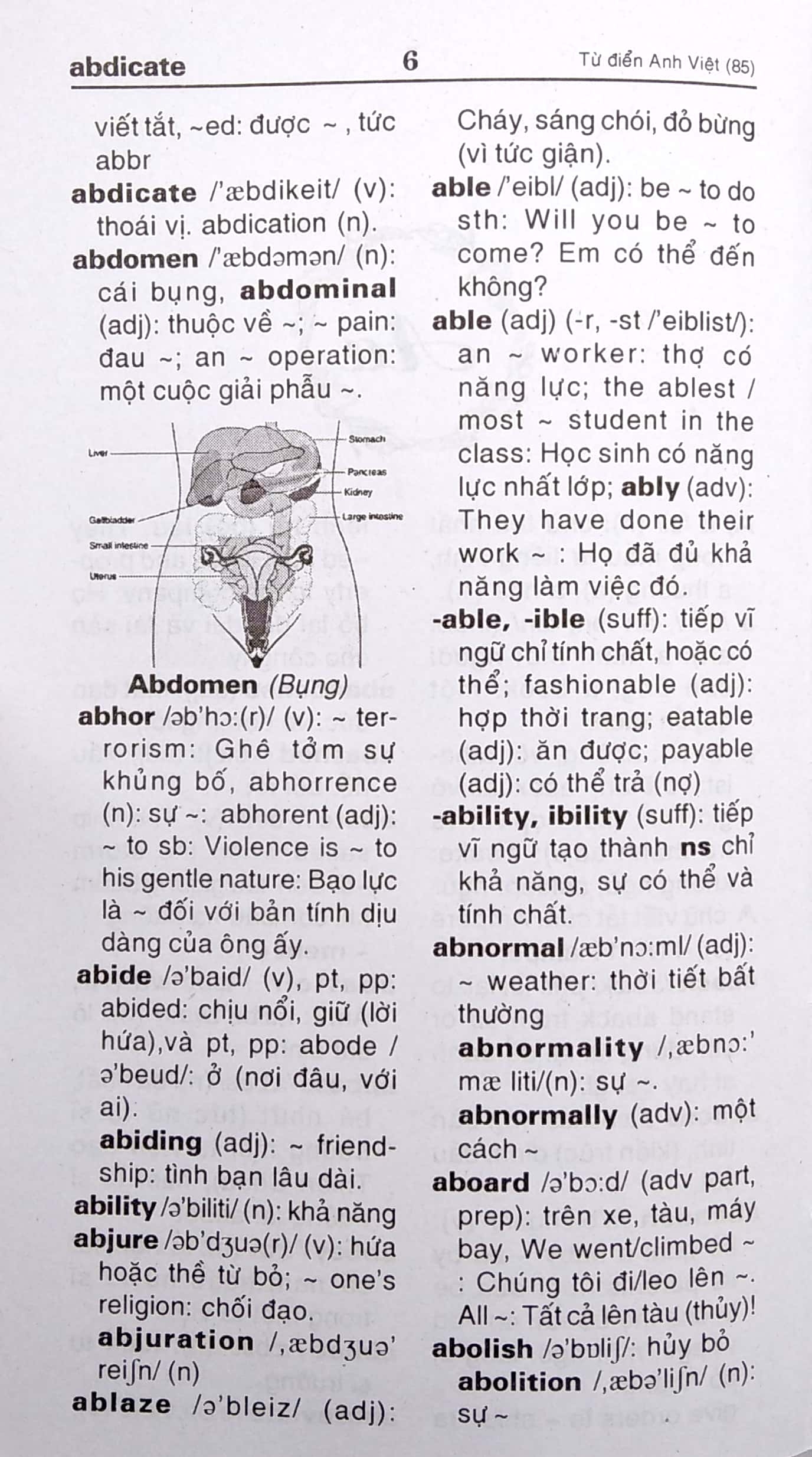 từ điển anh - việt dành cho mọi đối tượng (85.000 từ) - Ảnh 5
