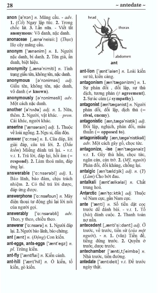 Từ Điển Anh-Việt - English-Vietnamese Dictionary - 100000 Từ - Ảnh 4