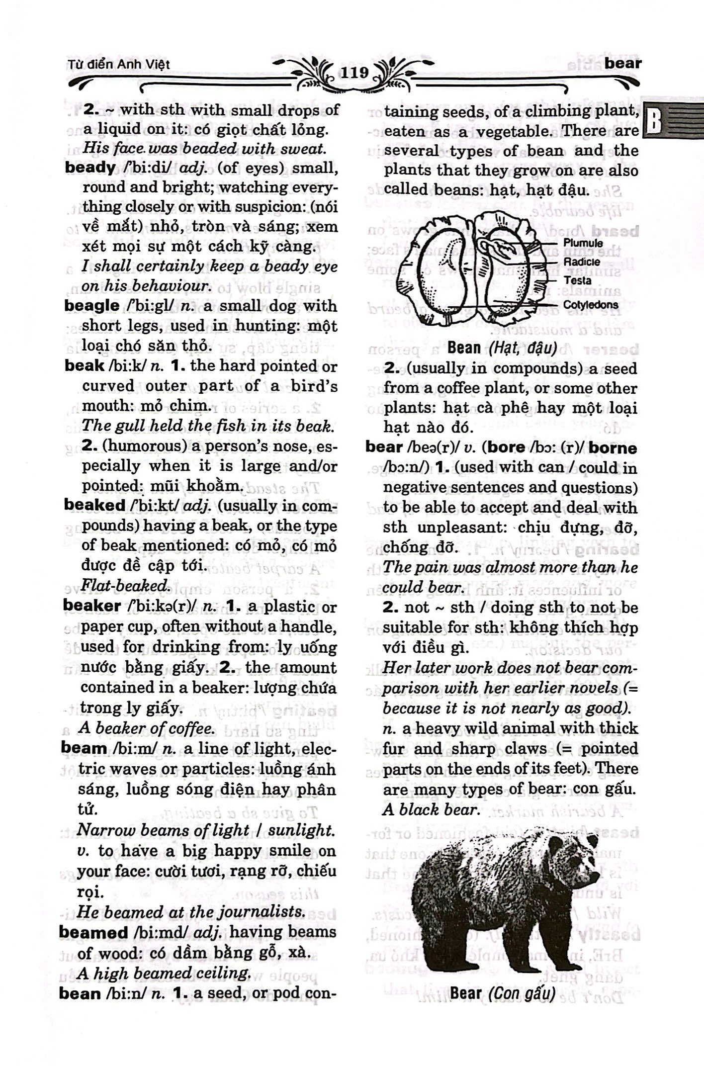 từ điển anh - việt (tái bản 2014) - Ảnh 5