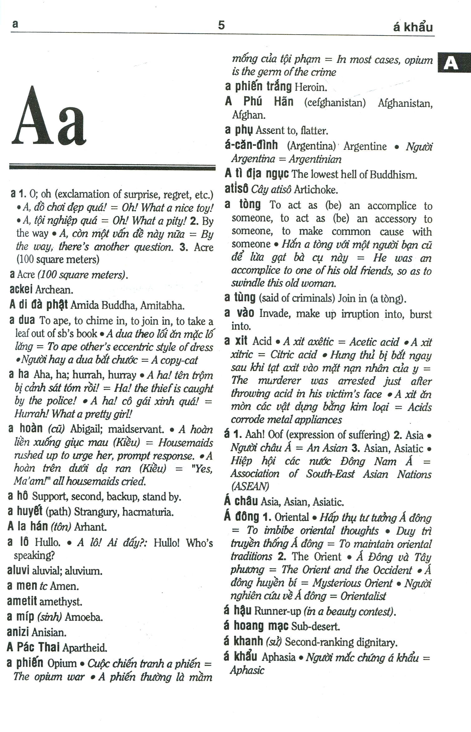 từ điển anh - việt trên 135.000 từ (tái bản) - Ảnh 3