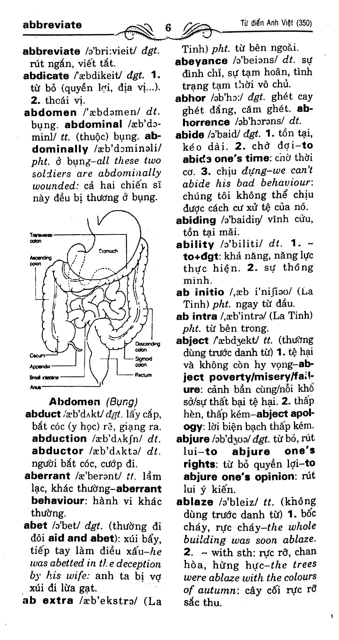 từ điển anh - việt (trên 350.000 từ) - Ảnh 5