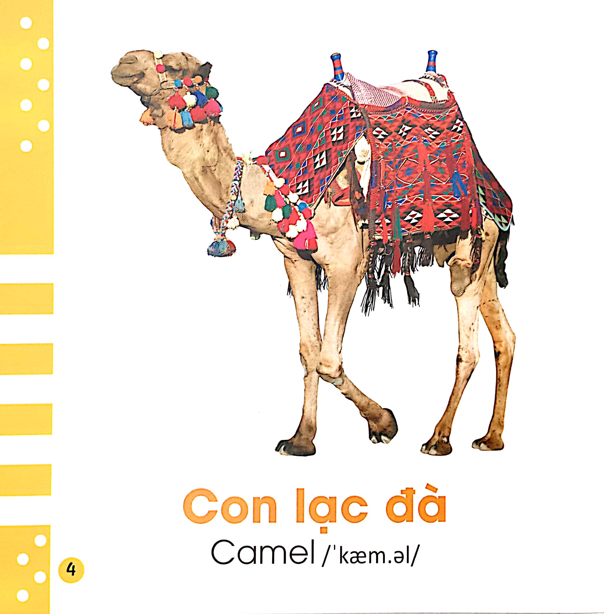 từ điển bằng hình cho bé - các loài động vật - animals - Ảnh 5