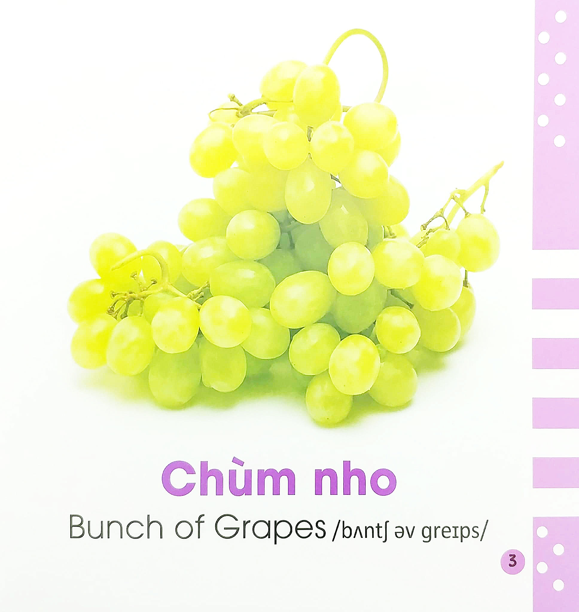 từ điển bằng hình cho bé - các loại hoa quả - fruits - Ảnh 4