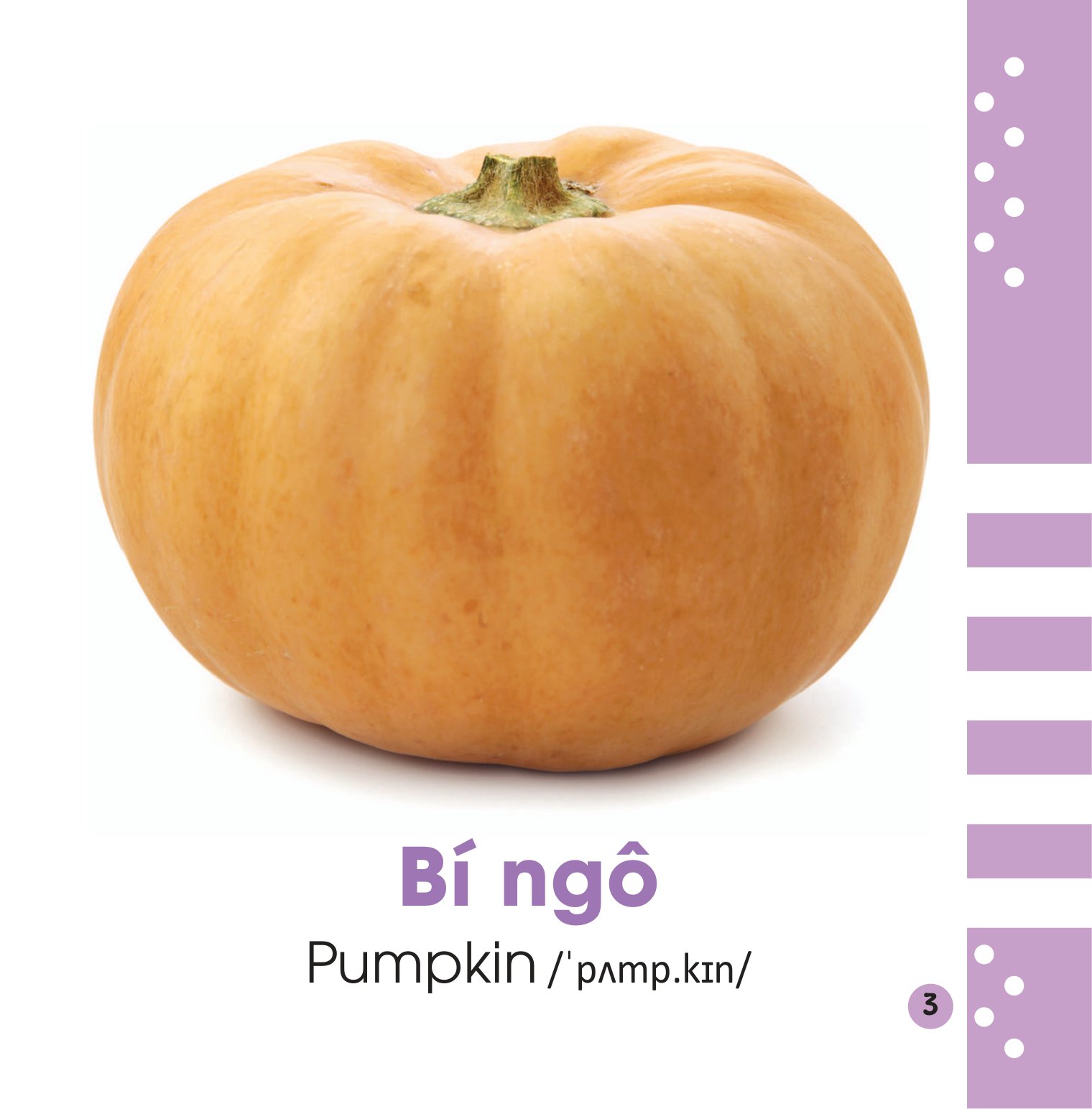 từ điển bằng hình cho bé - các loại rau củ - vegetables - Ảnh 4