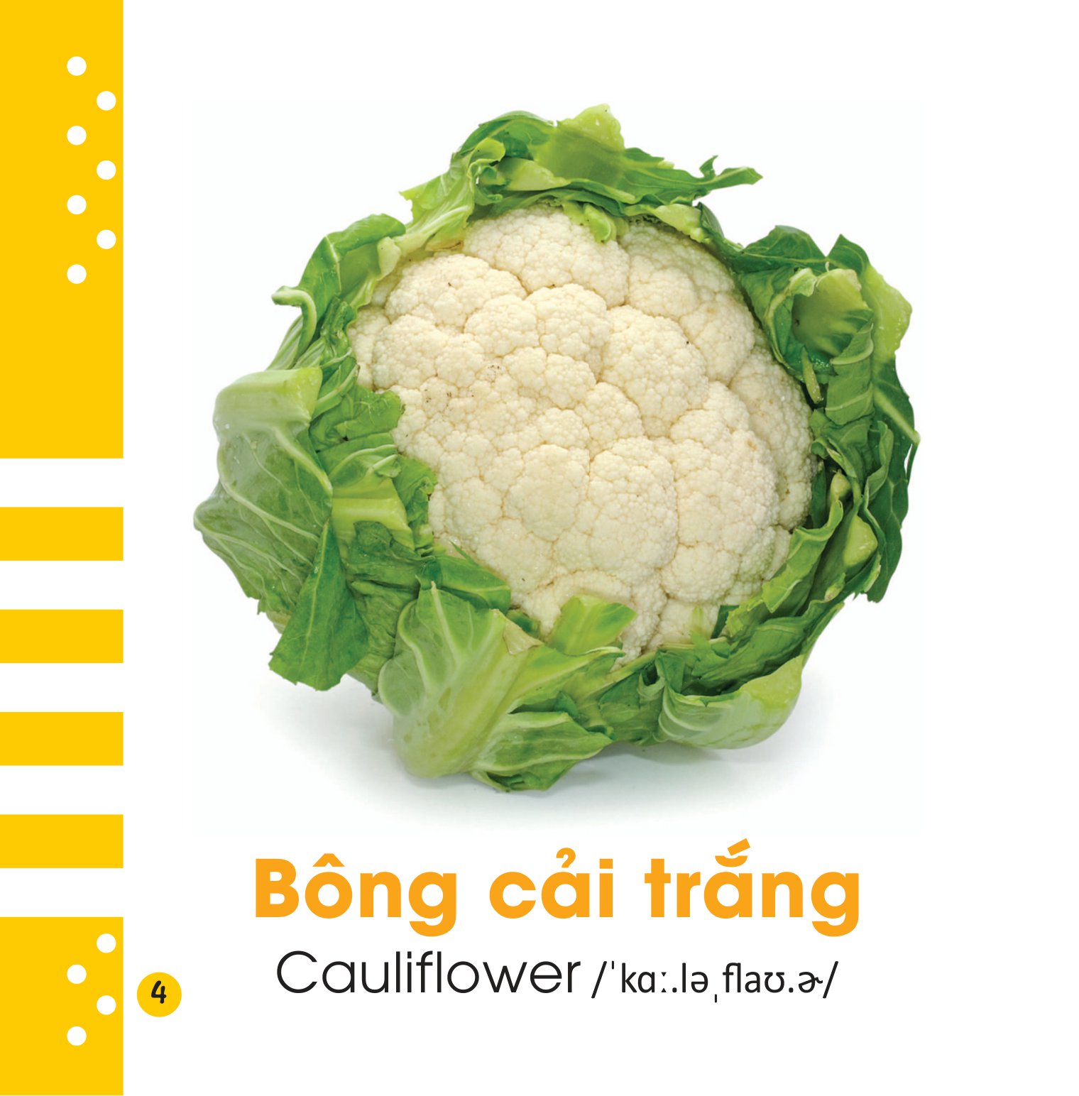 từ điển bằng hình cho bé - các loại rau củ - vegetables - Ảnh 5
