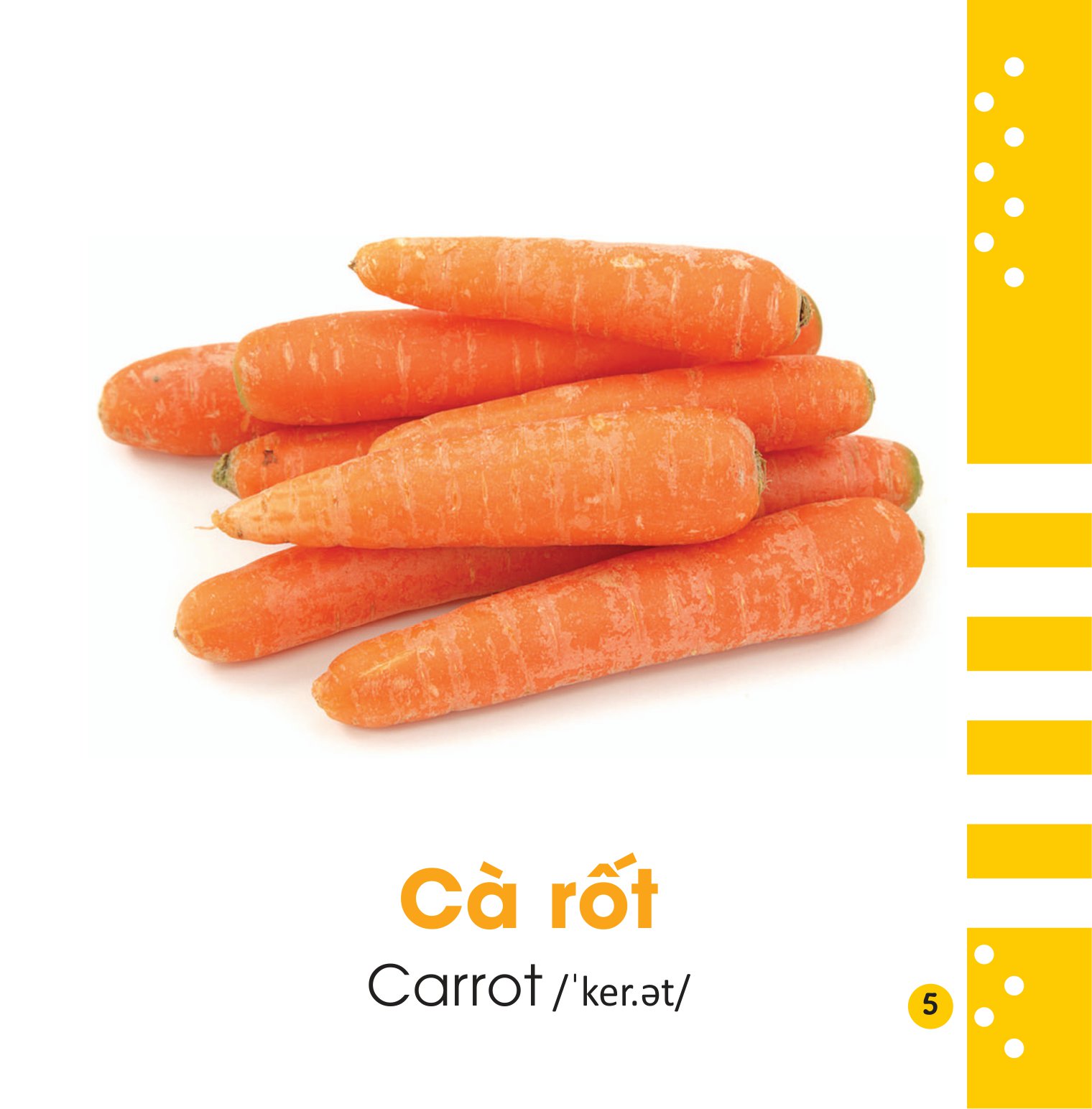 từ điển bằng hình cho bé - các loại rau củ - vegetables - Ảnh 6