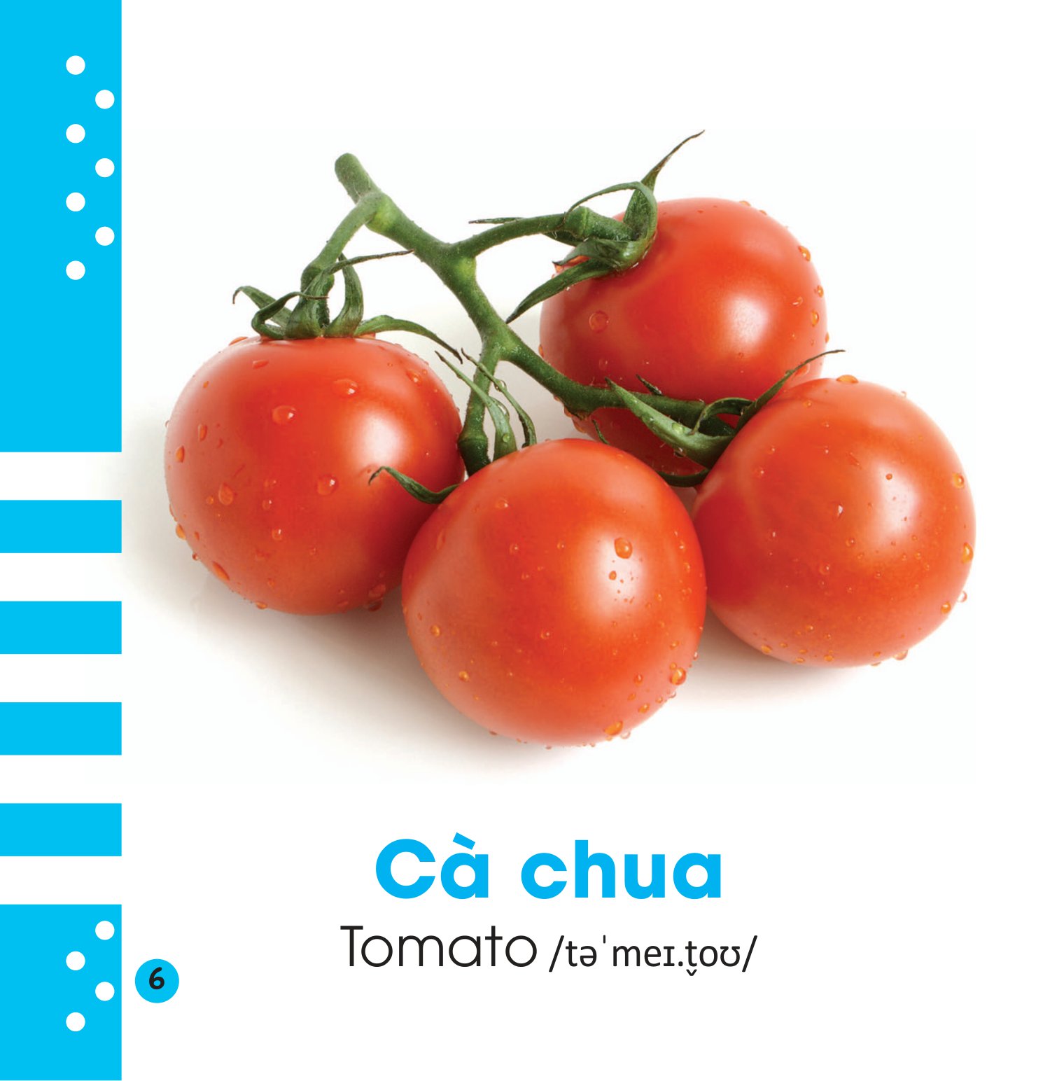 từ điển bằng hình cho bé - các loại rau củ - vegetables - Ảnh 7