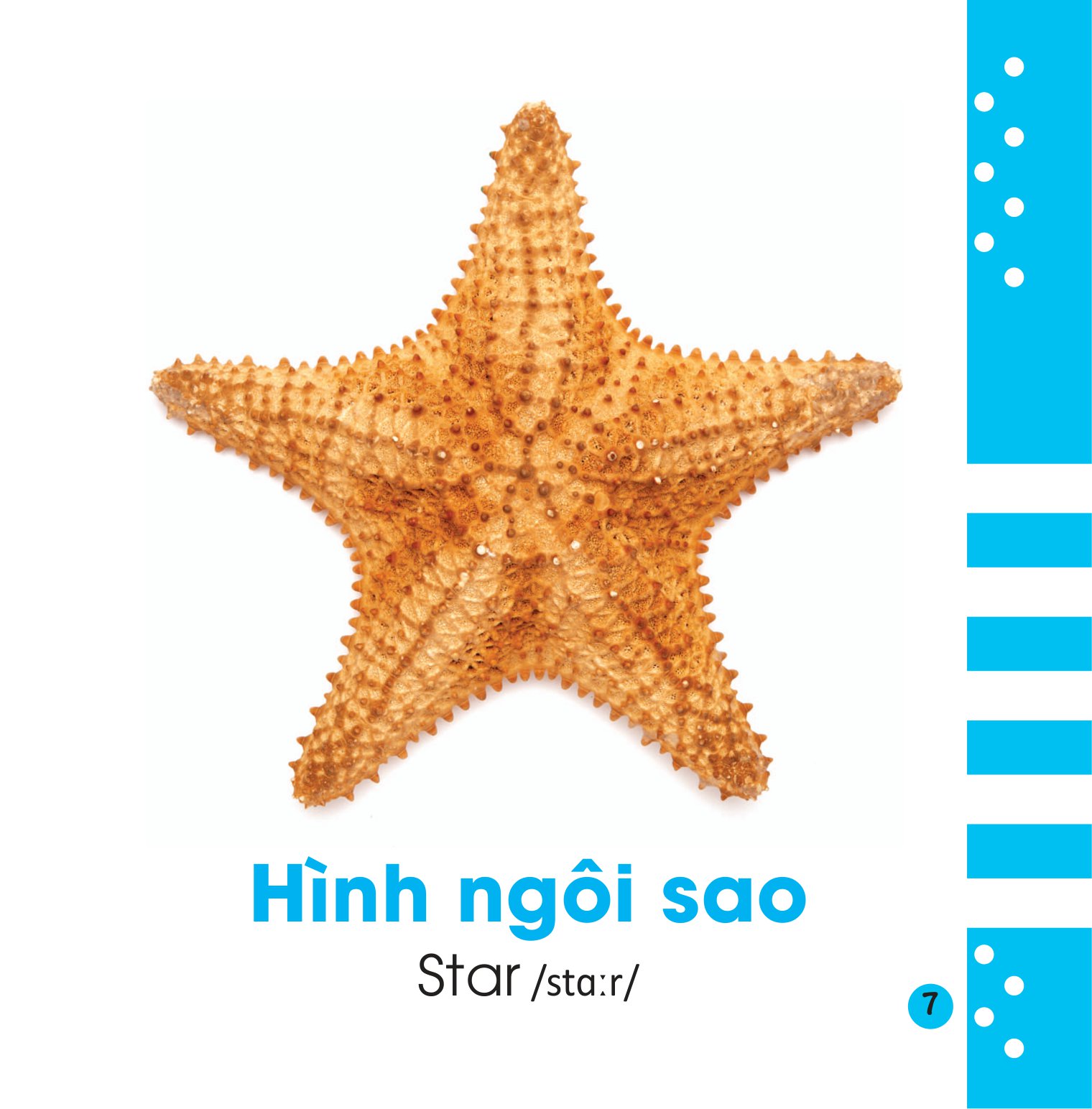 từ điển bằng hình cho bé - hình dạng và sự tương phản - shapes and opposites - Ảnh 8