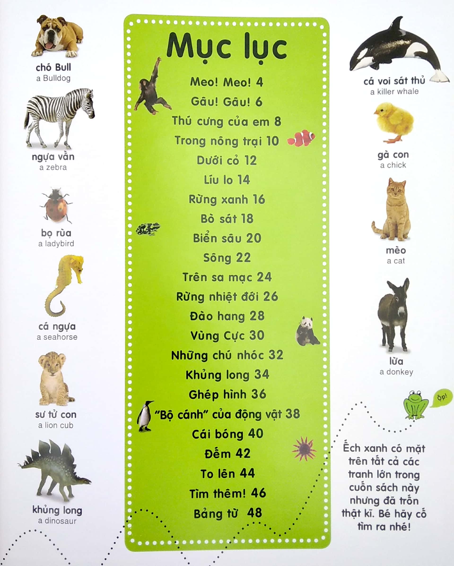từ điển bằng hình cho trẻ mầm non - động vật (tái bản 2020) - Ảnh 3