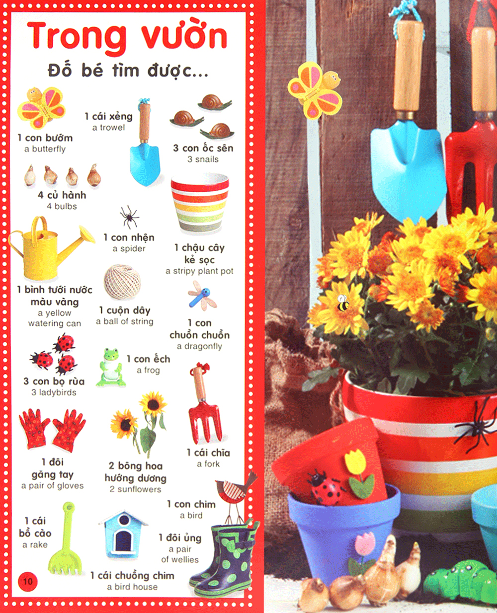 từ điển bằng hình cho trẻ mầm non - những từ đầu tiên (tái bản 2019) - Ảnh 9