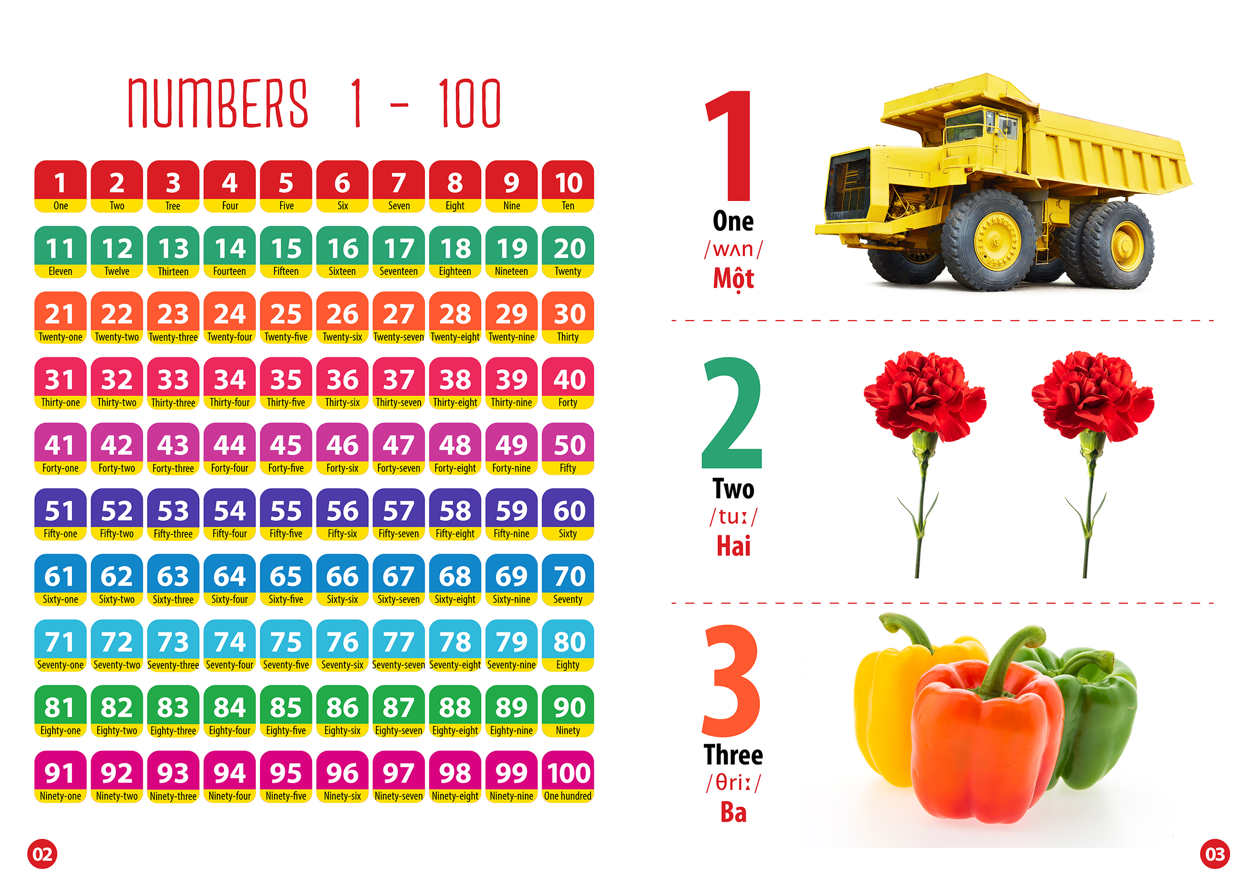 từ điển bằng hình chữ cái và số đếm (song ngữ anh - việt) - Ảnh 3