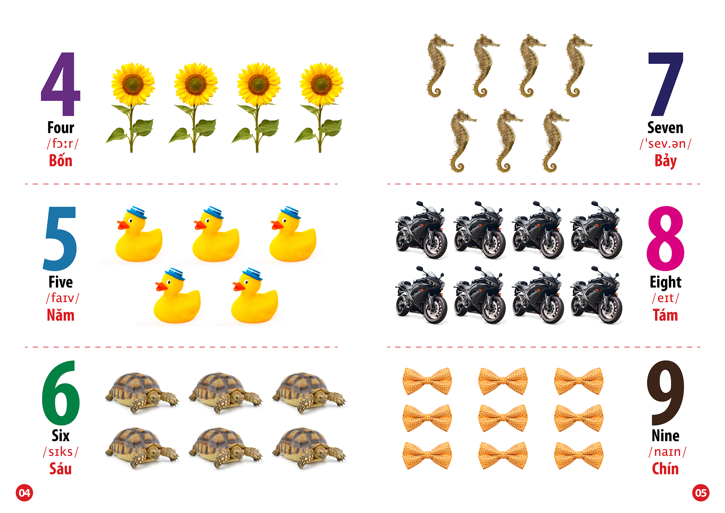 từ điển bằng hình chữ cái và số đếm (song ngữ anh - việt) - Ảnh 4