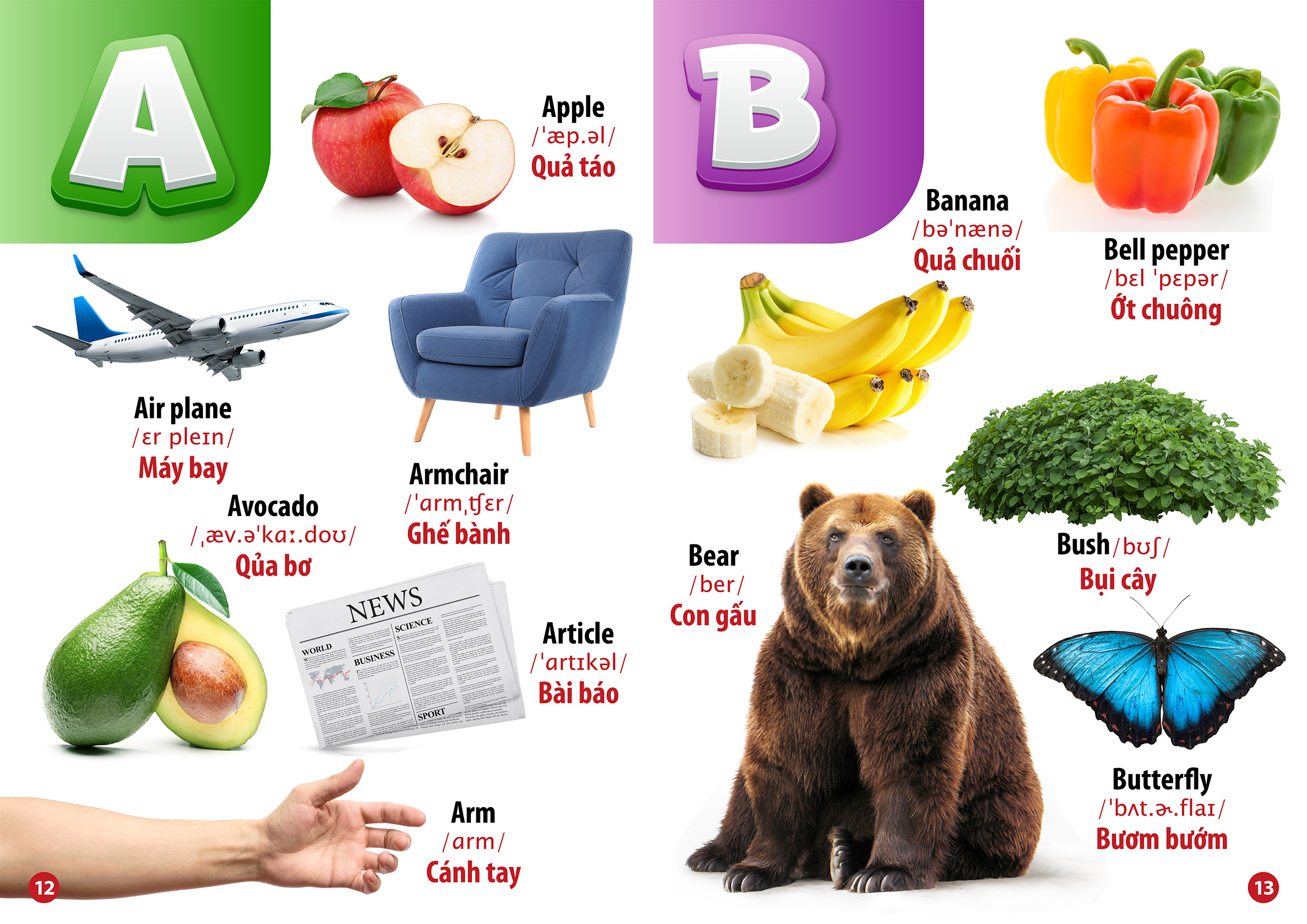 từ điển bằng hình chữ cái và số đếm (song ngữ anh - việt) - Ảnh 5