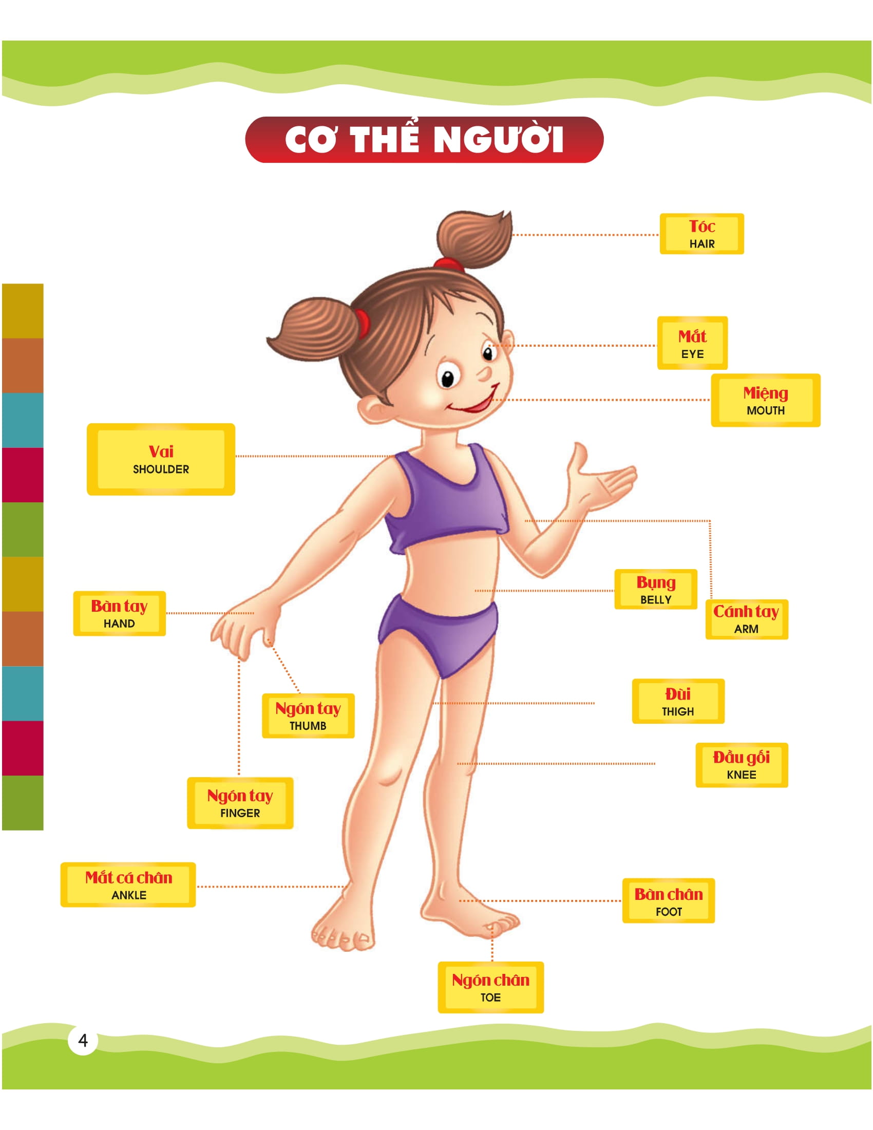 từ điển bằng hình của tôi - em thích miêu tả (dành cho trẻ từ 4 - 6 tuổi) - Ảnh 5