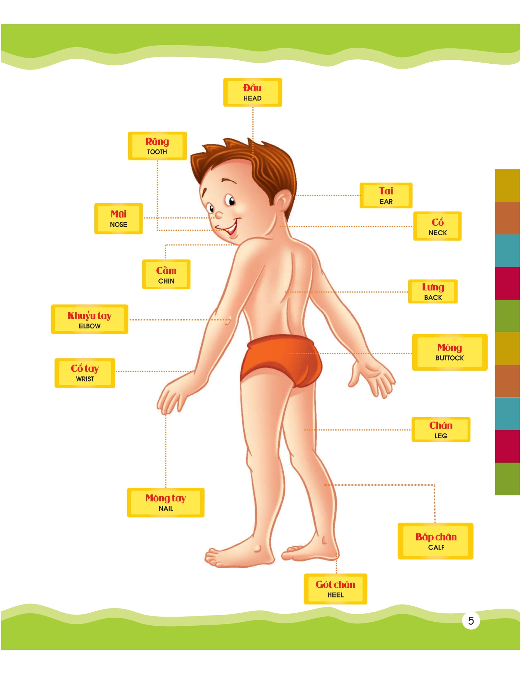 từ điển bằng hình của tôi - em thích miêu tả (dành cho trẻ từ 4 - 6 tuổi) - Ảnh 6