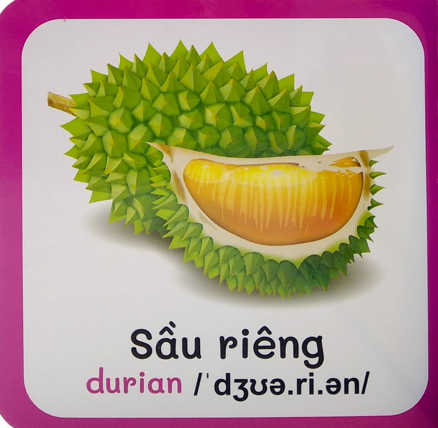 từ điển bằng hình đầu tiên của bé - baby's first picture dictionary - fruits - trái cây - Ảnh 5