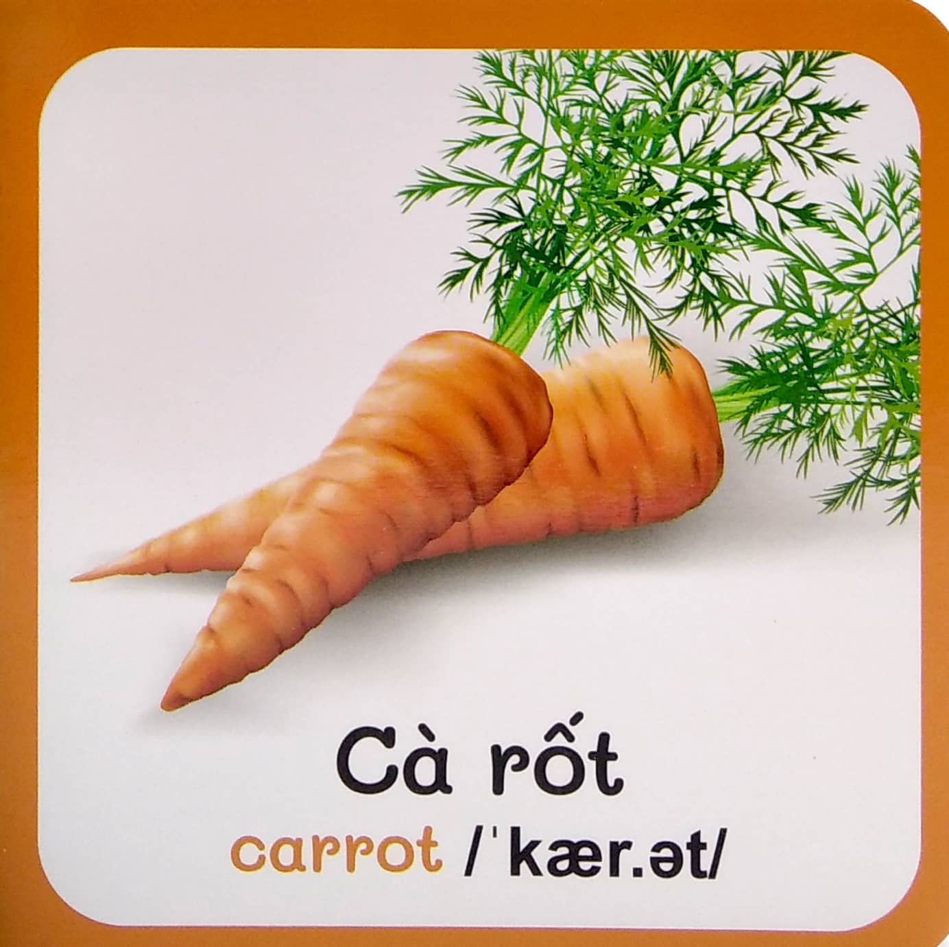 từ điển bằng hình đầu tiên của bé - baby's first picture dictionary - vegettables - rau củ - Ảnh 4