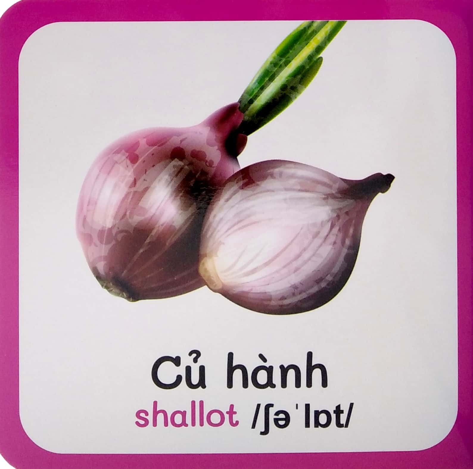 từ điển bằng hình đầu tiên của bé - baby's first picture dictionary - vegettables - rau củ - Ảnh 5