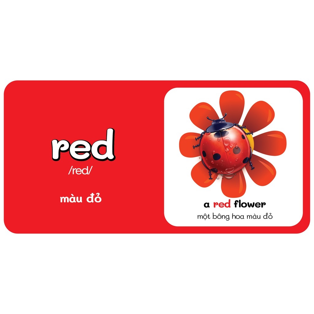 từ điển bằng hình đầu tiên của bé - colours - màu sắc - Ảnh 4