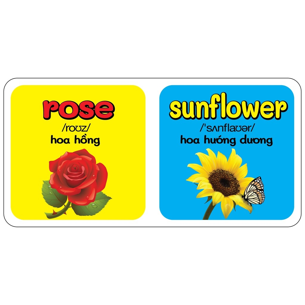 từ điển bằng hình đầu tiên của bé - flowers - hoa - Ảnh 4