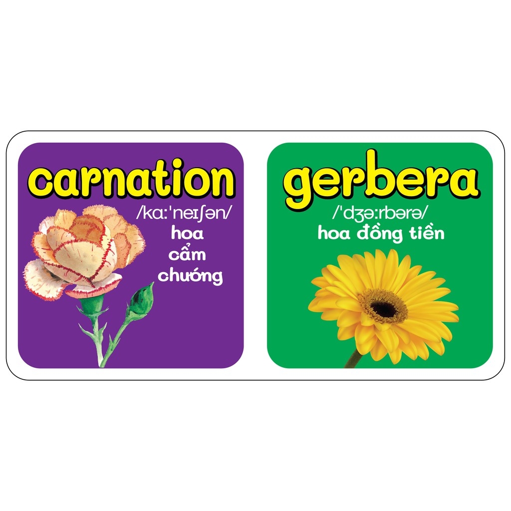 từ điển bằng hình đầu tiên của bé - flowers - hoa - Ảnh 5