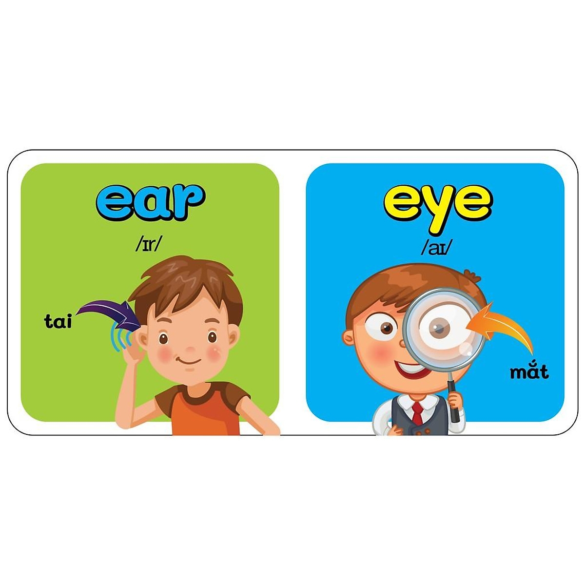 từ điển bằng hình đầu tiên của bé - my body - cơ thể - Ảnh 2