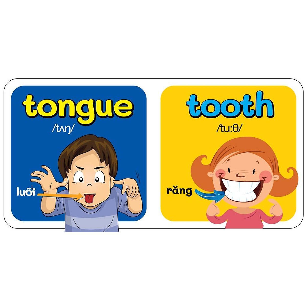 từ điển bằng hình đầu tiên của bé - my body - cơ thể - Ảnh 3