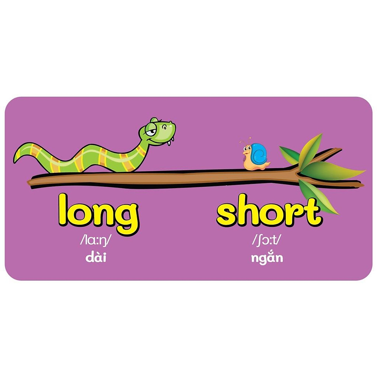 từ điển bằng hình đầu tiên của bé - opposite - đối lập - Ảnh 4