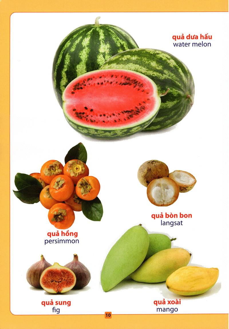 từ điển bằng hình - hoa, quả, rau củ (tái bản 2018) - Ảnh 11