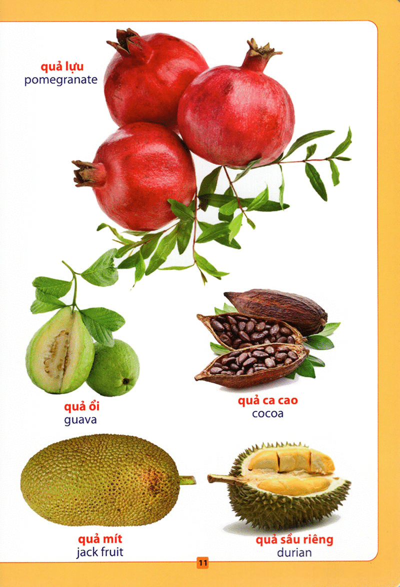 từ điển bằng hình - hoa, quả, rau củ (tái bản 2018) - Ảnh 12