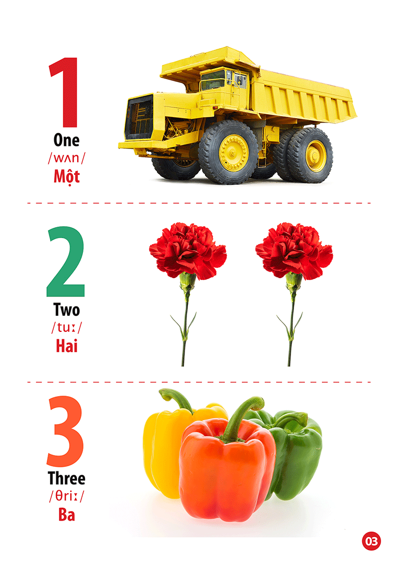 từ điển bằng hình - song ngữ anh-việt - chữ cái và số đếm - Ảnh 4