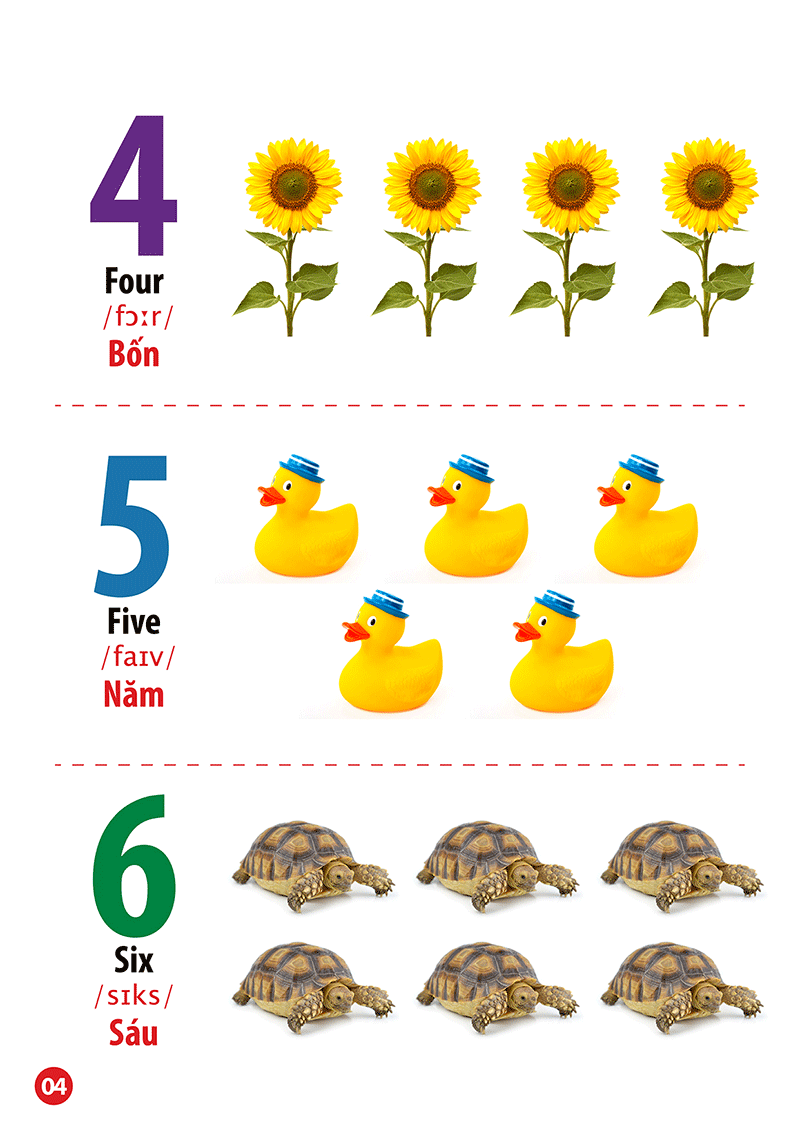 từ điển bằng hình - song ngữ anh-việt - chữ cái và số đếm - Ảnh 5