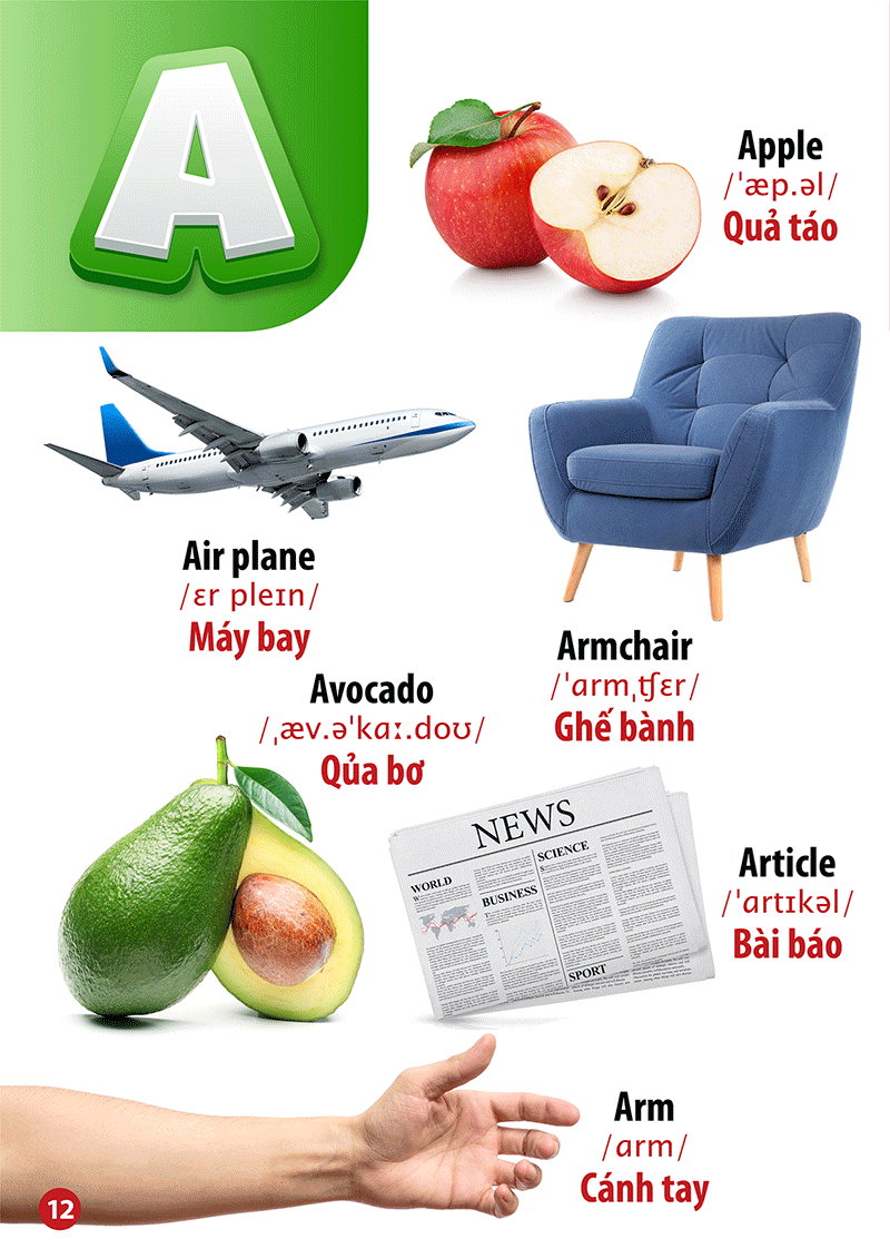 từ điển bằng hình - song ngữ anh-việt - chữ cái và số đếm - Ảnh 7