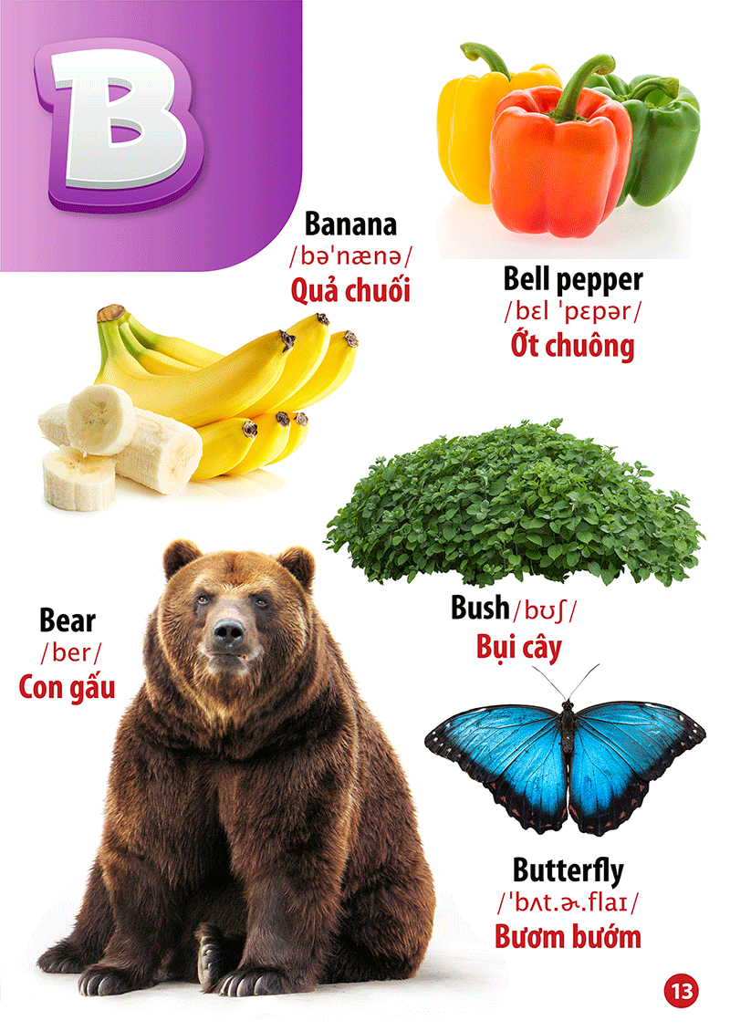 từ điển bằng hình - song ngữ anh-việt - chữ cái và số đếm - Ảnh 8