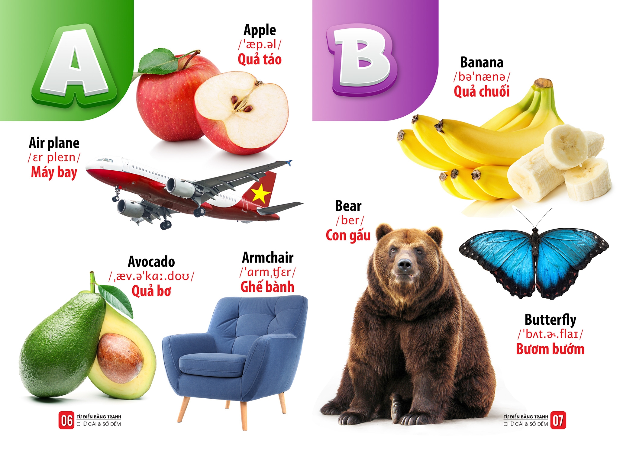 từ điển bằng tranh - chữ cái và số đếm - Ảnh 5