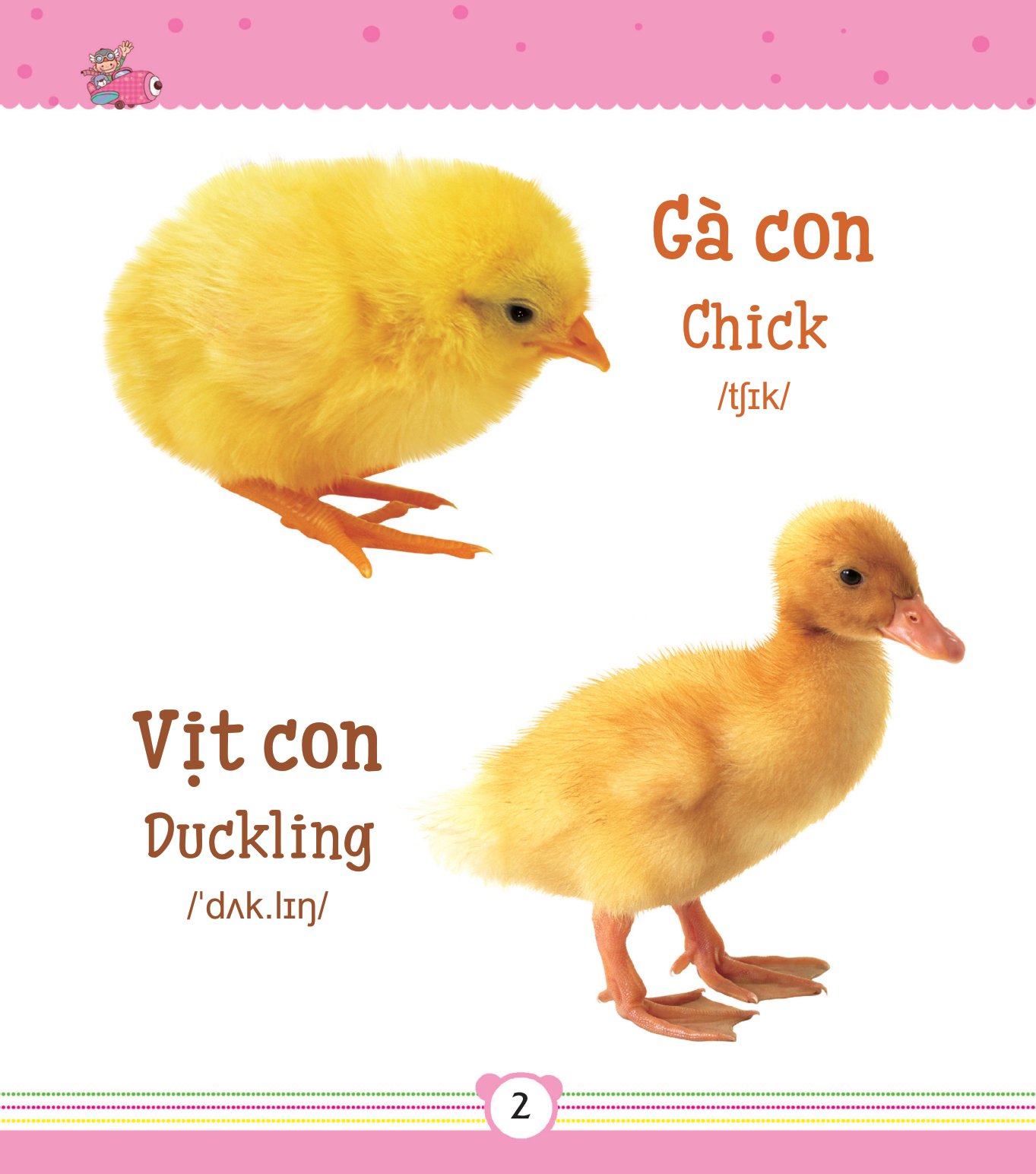 từ điển bằng tranh dành cho trẻ em - động vật - Ảnh 3