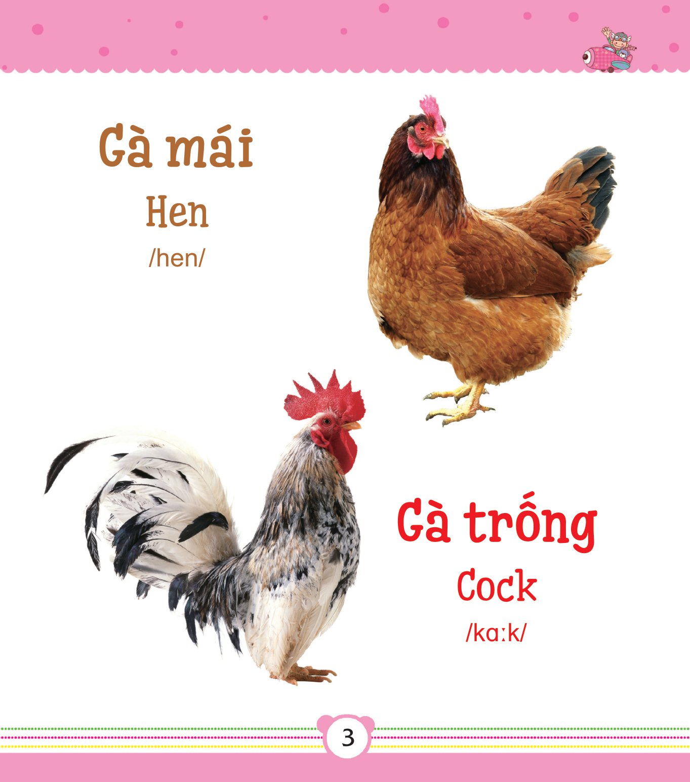 từ điển bằng tranh dành cho trẻ em - động vật - Ảnh 4