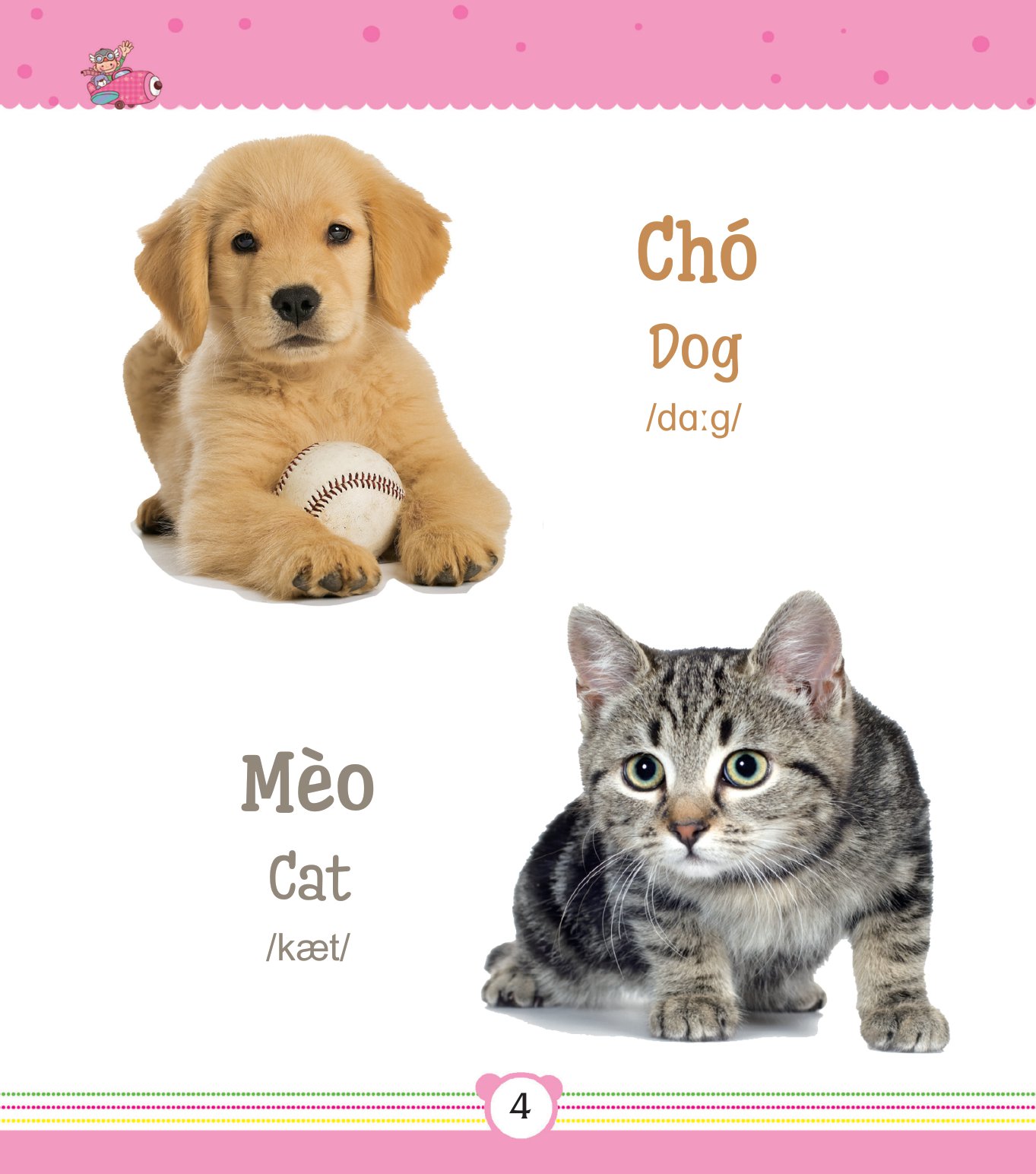 từ điển bằng tranh dành cho trẻ em - động vật - Ảnh 5