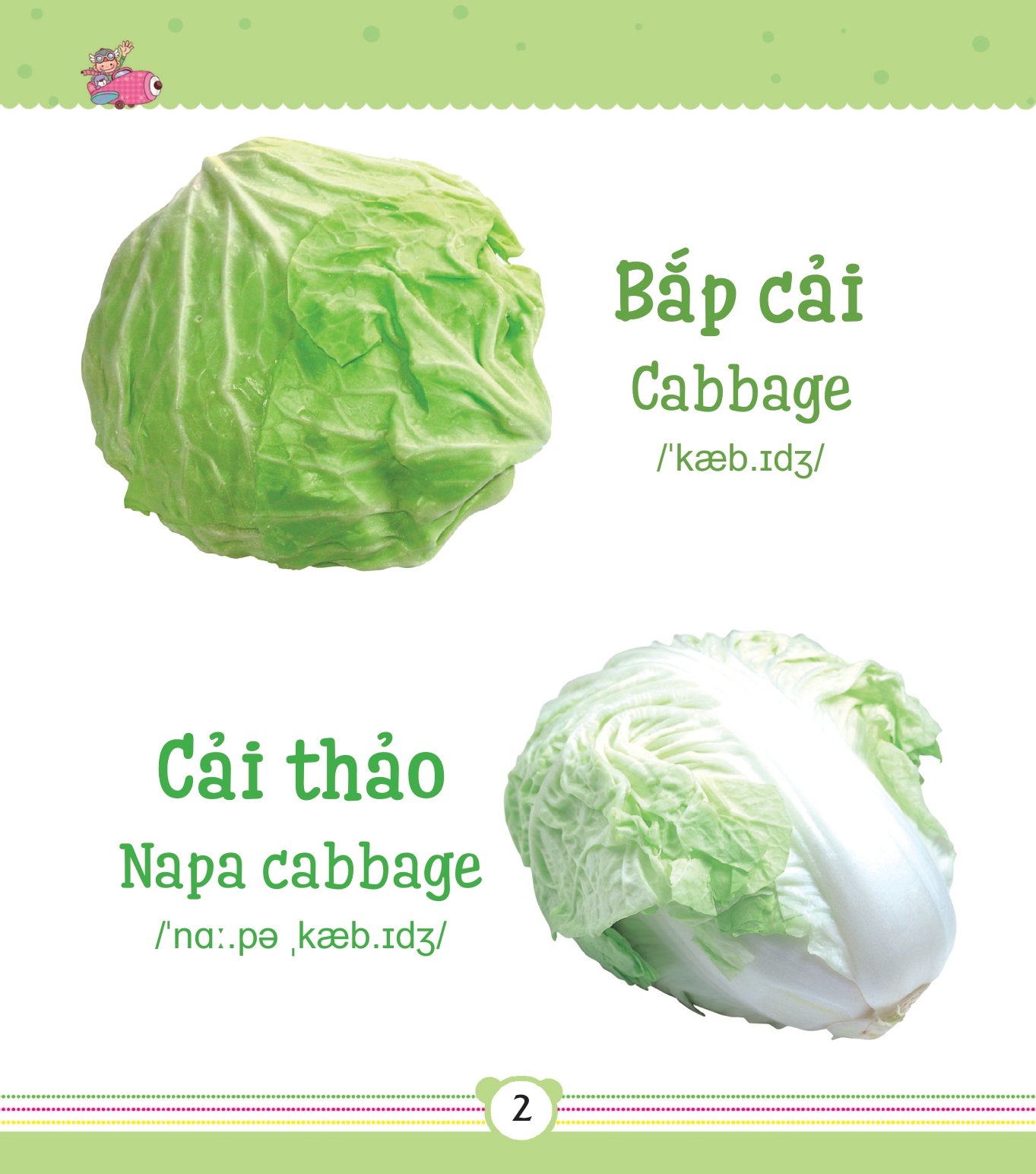từ điển bằng tranh dành cho trẻ em - rau củ - Ảnh 3