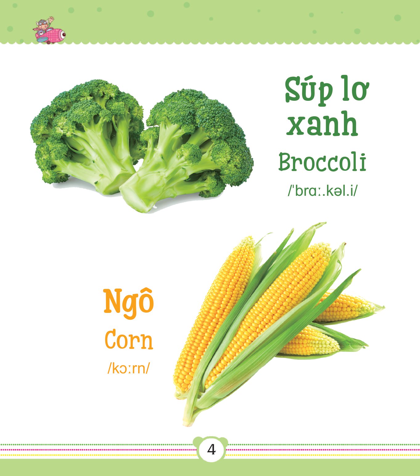 từ điển bằng tranh dành cho trẻ em - rau củ - Ảnh 5