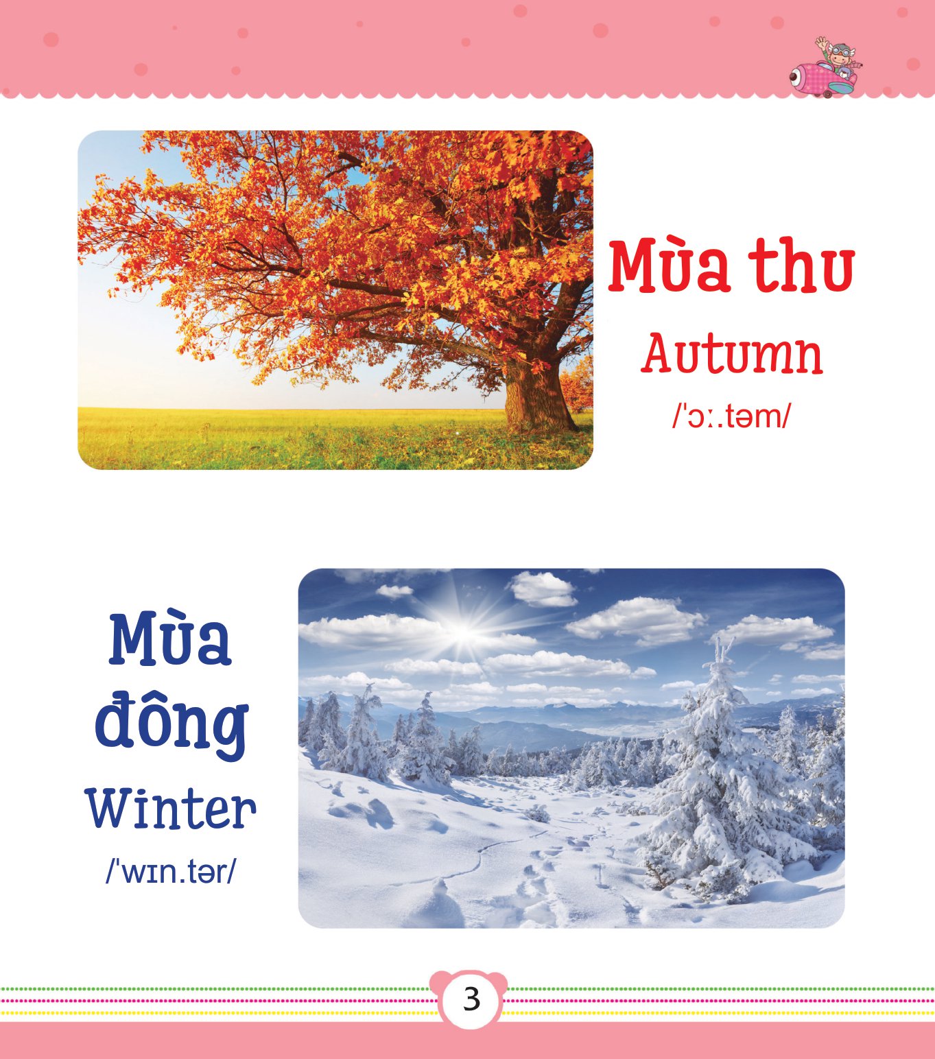 từ điển bằng tranh dành cho trẻ em - thế giới quanh em - Ảnh 4