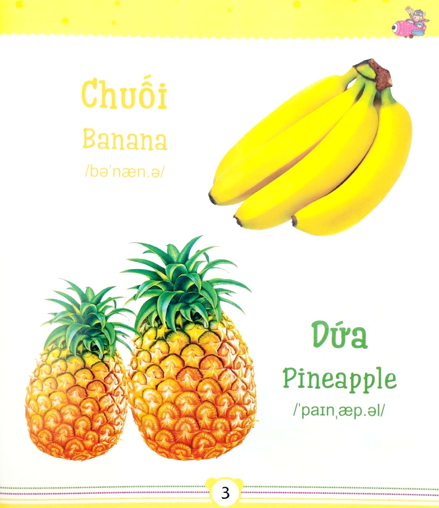 từ điển bằng tranh dành cho trẻ em - trái cây - Ảnh 4