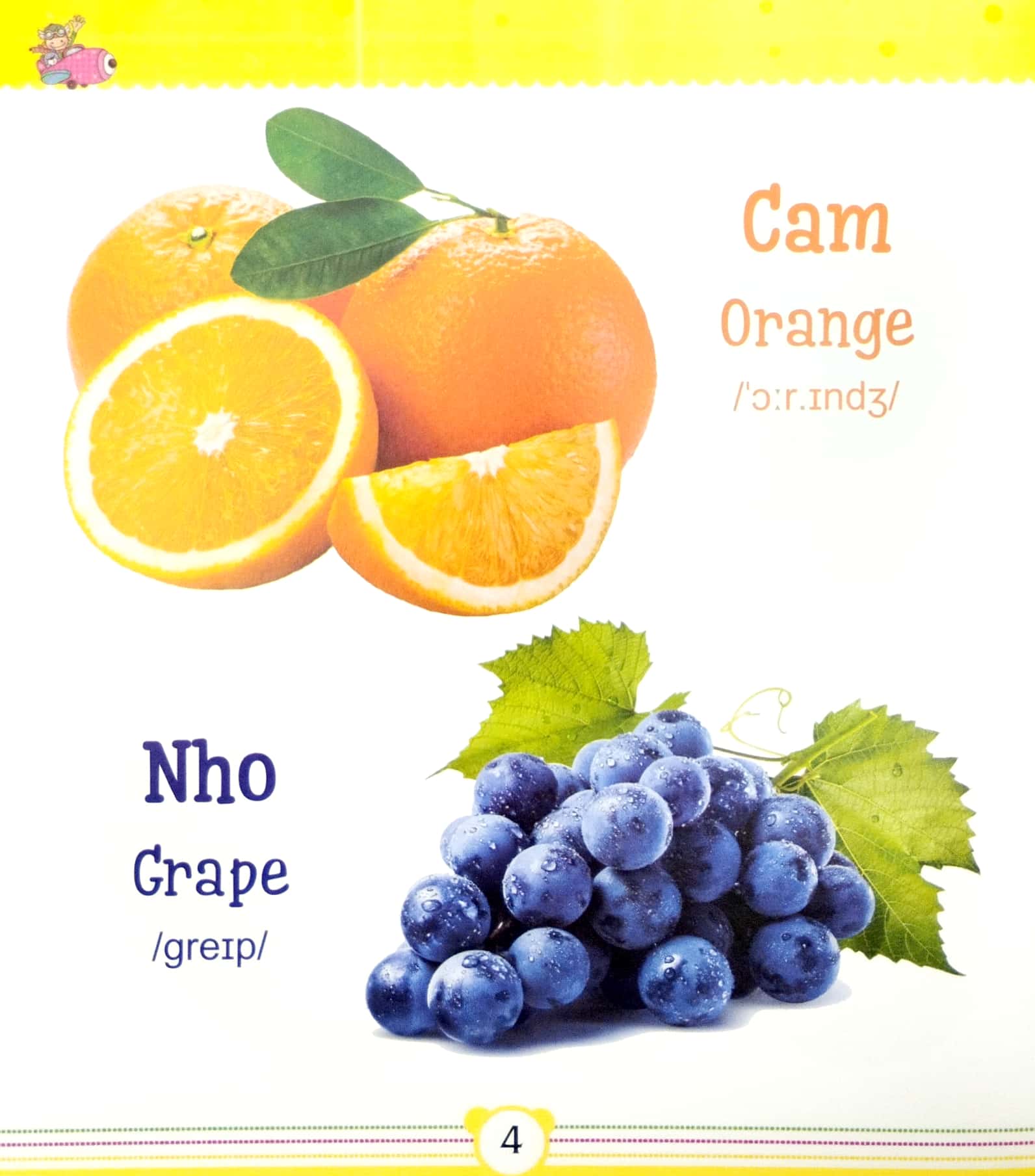 từ điển bằng tranh dành cho trẻ em - trái cây - Ảnh 5