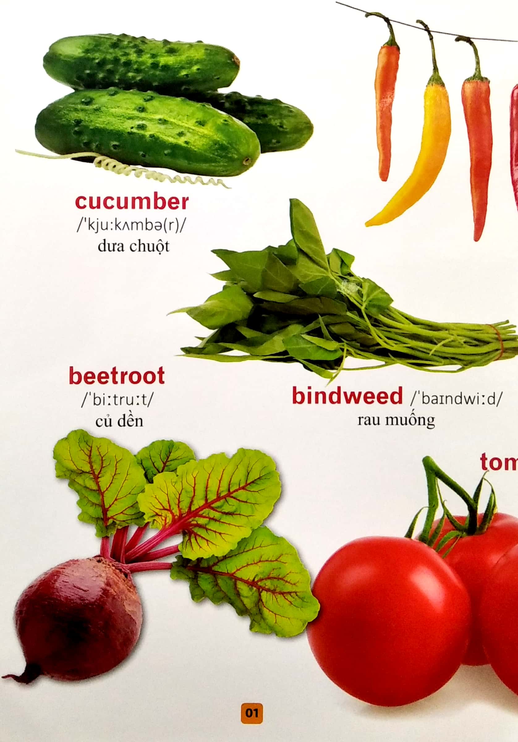 từ điển bằng tranh - rau củ quả (tái bản 2023) - Ảnh 3